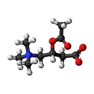 ALCAR molecule model