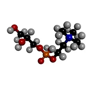 Alpha-GPC molecule model