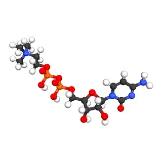 Citicoline molecule model