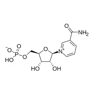 NMN formula