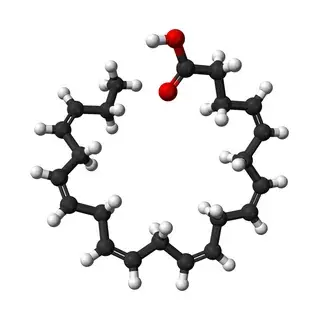 DHA molecule model