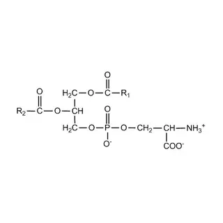 Phosphatidylserine formula
